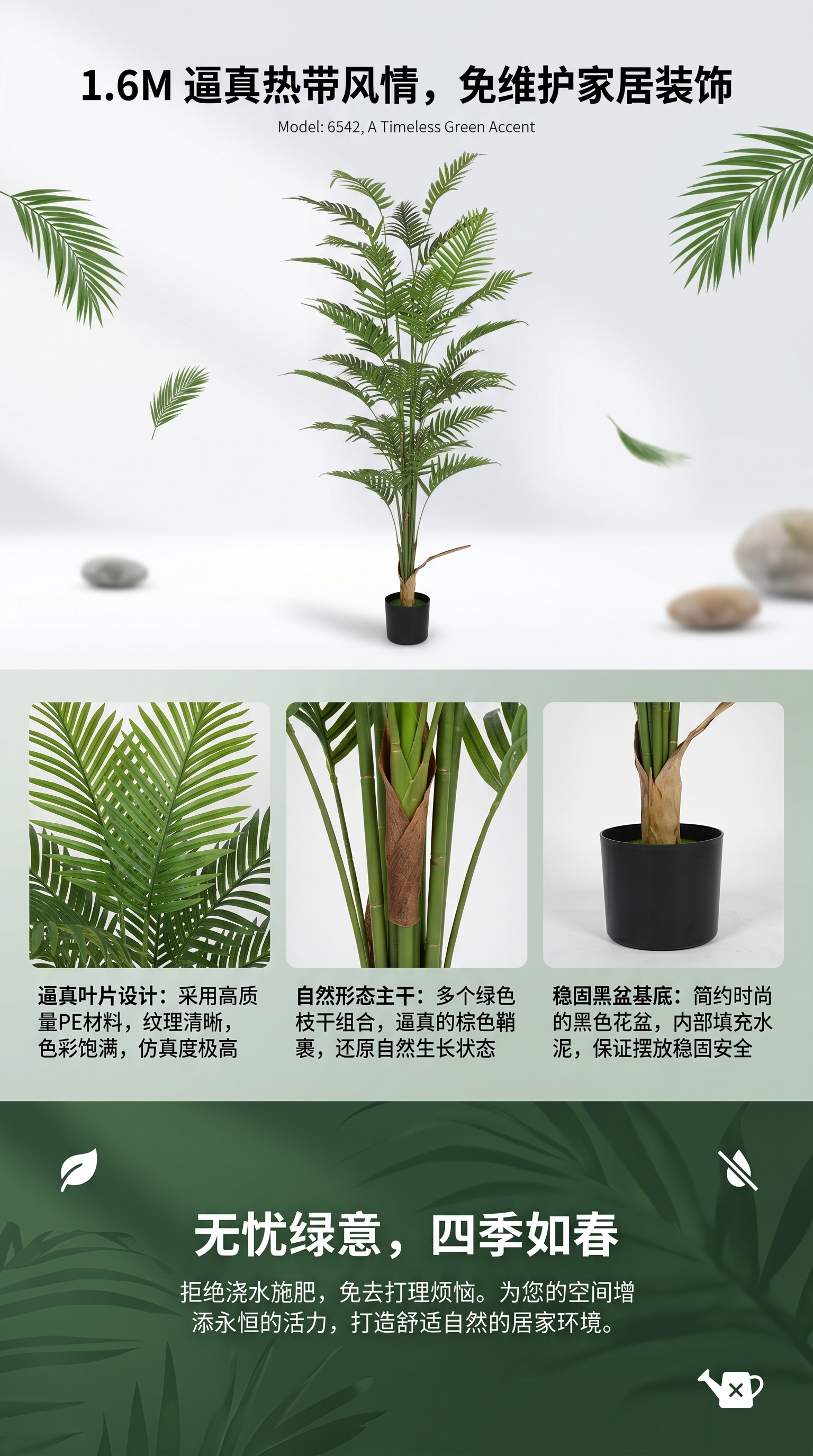 绿色植物盆栽植物室内绿植花卉观赏植物多肉植物盆栽详情1