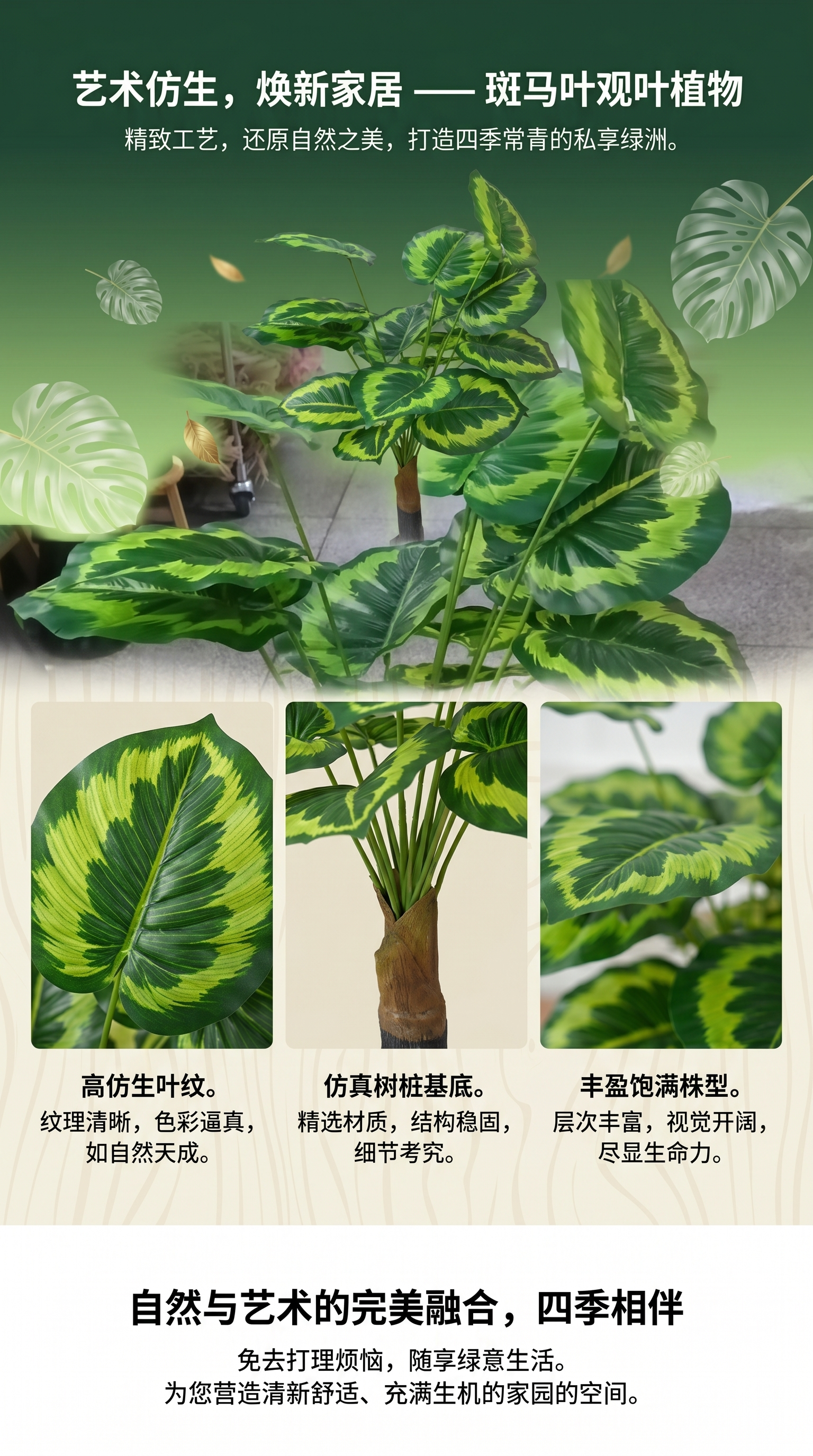 绿叶植物室内盆栽观叶绿植净化空气易养耐阴详情1