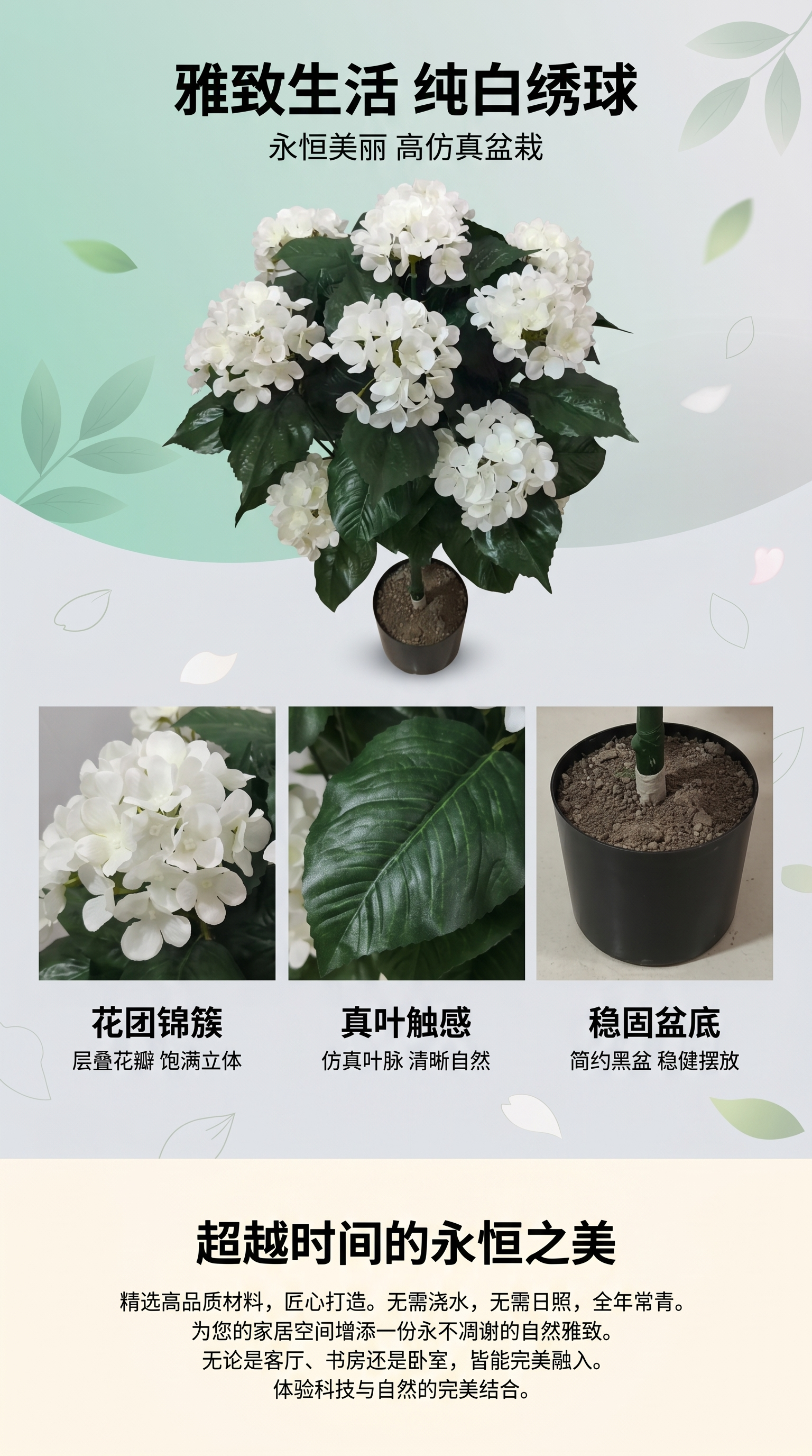 白色绣球花盆栽植物室内绿植观赏花卉耐寒庭院绿化植物详情1