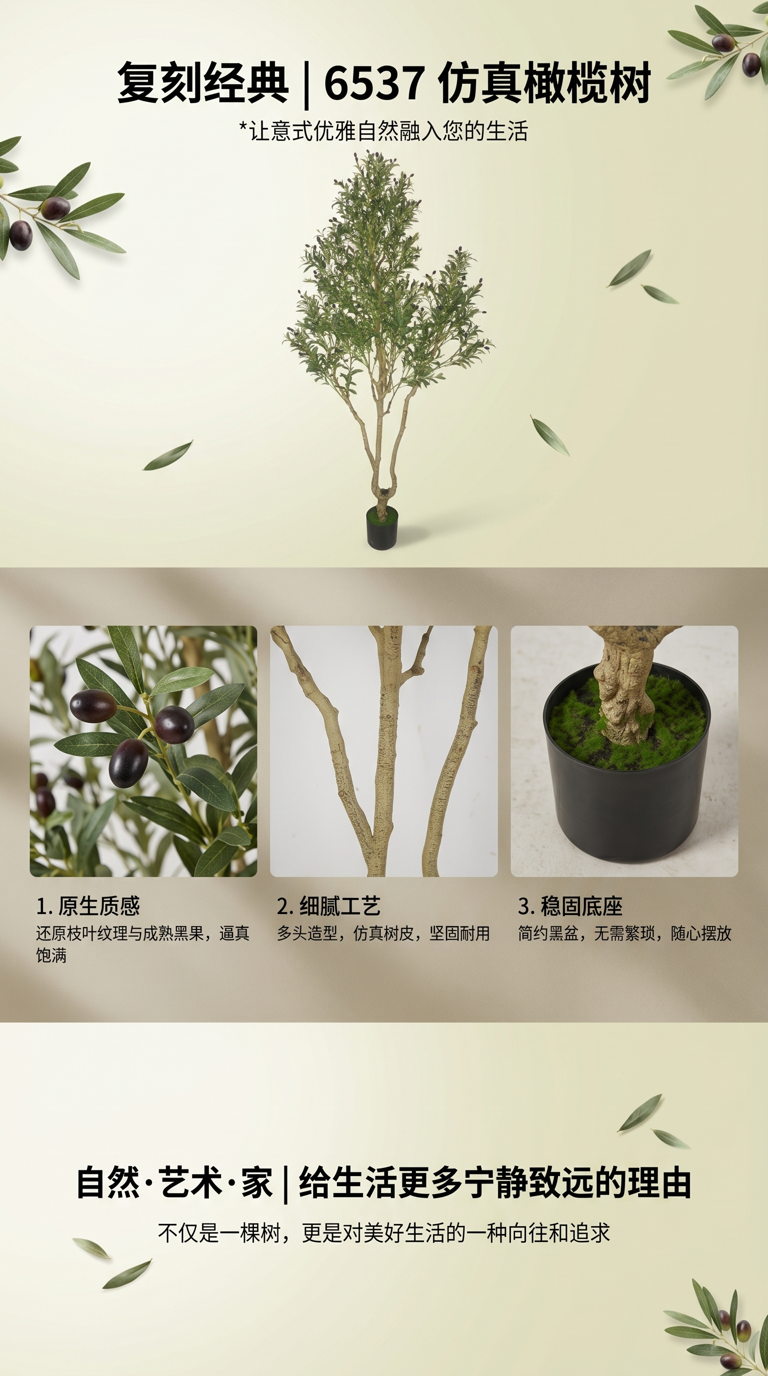 绿色植物盆栽橄榄树四季常青室内绿化庭院装饰详情1
