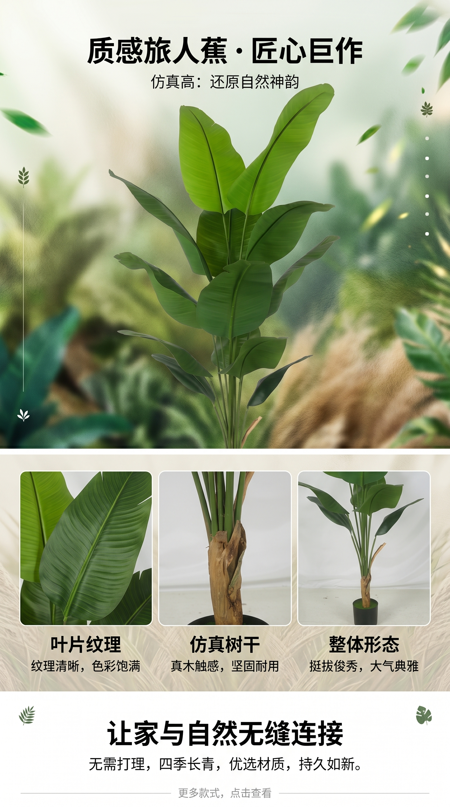 绿色植物盆栽植物室内绿植多肉植物小盆栽家庭园艺绿化植物详情1