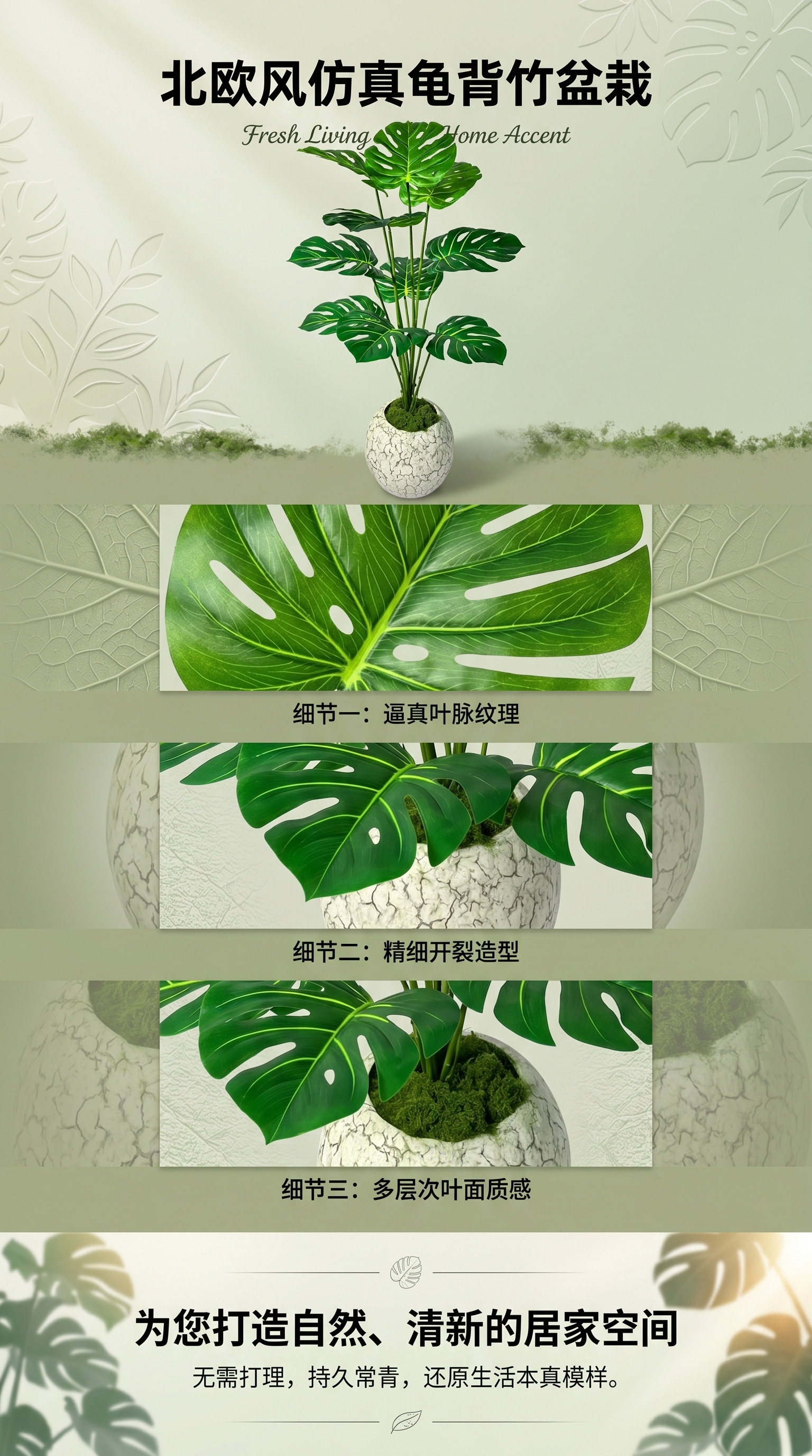Green plants, potted plants, indoor small succulent plant combination potted plants pic 1