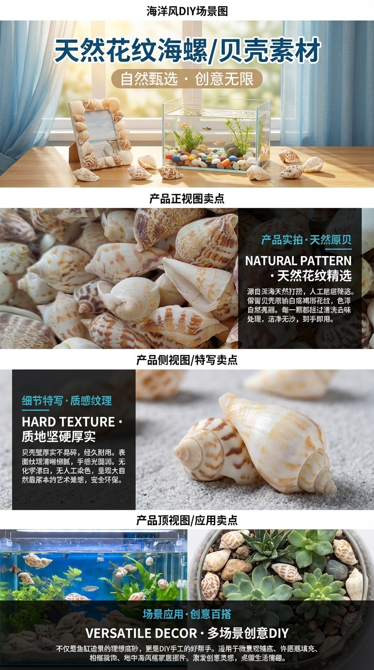 贝壳海螺贝壳片婚庆五金新款装饰品贝壳饰品白口螺厂家直销厚扇贝天然彩色花纹贝壳海螺鱼缸造景装饰欧美风格详情2