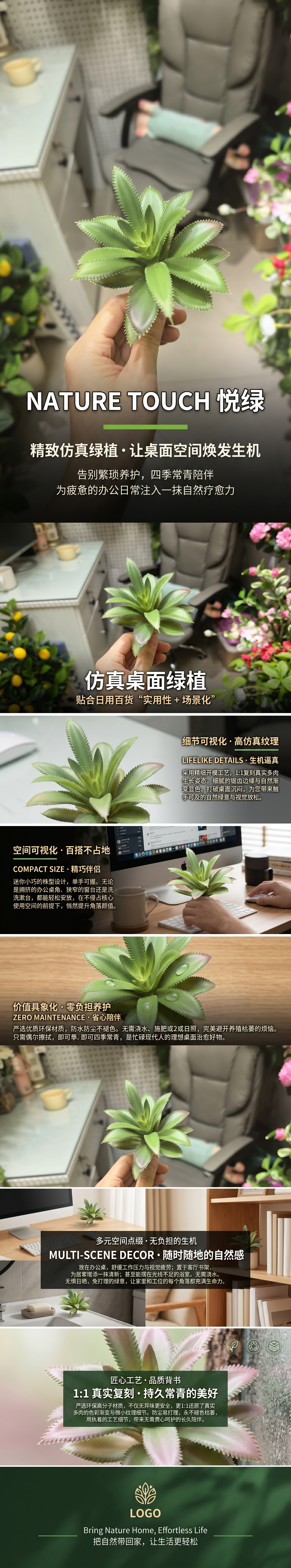绿色多肉植物盆栽室内小型耐旱观赏绿植阳台装饰详情1